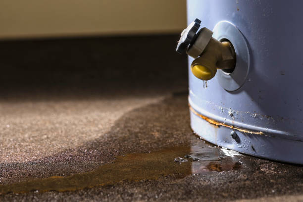 Sewage cleanup and water damage restoration in North Ogden, UT