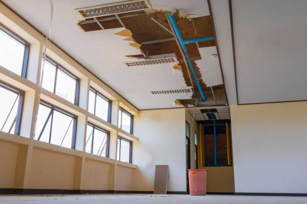 Best Basement water damage restoration  in North Ogden, UT