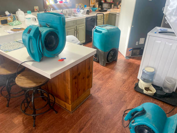Best Sewage cleanup and water damage restoration  in North Ogden, UT