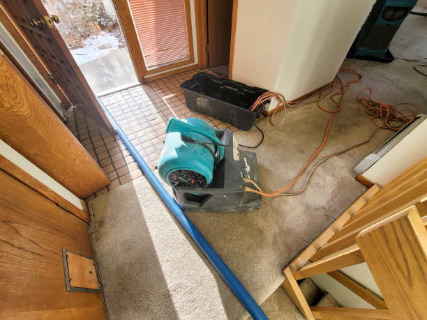 Water damage restoration process in North Ogden, UT