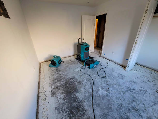 Best 24/7 water damage repair  in North Ogden, UT