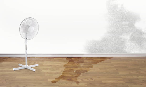 Best Water damage restoration process  in North Ogden, UT