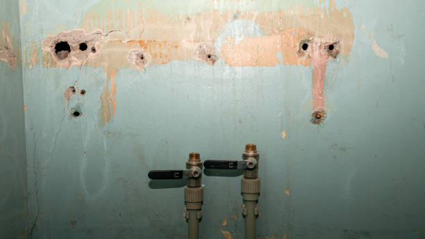 Best Local water damage restoration  in North Ogden, UT