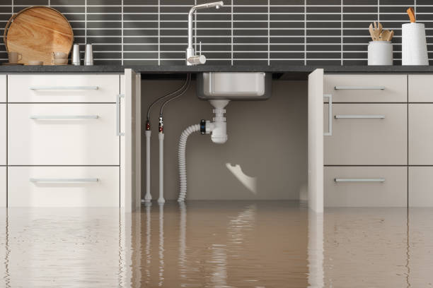 Best Sewage cleanup and water damage restoration  in North Ogden, UT