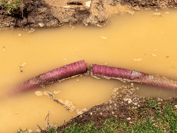 Best Emergency water damage restoration  in North Ogden, UT